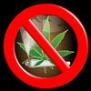 Marijuana leaf within universal No symbol.