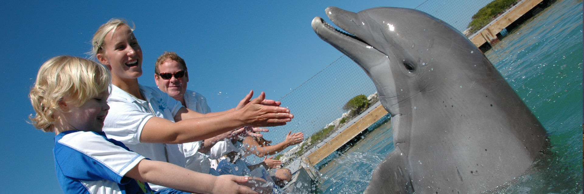 Kid plays with dolphhin at water park instructed by adults.